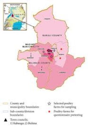 map of Masindi town in Uganda
